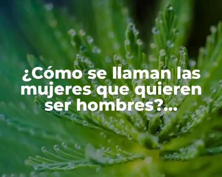 ¿Cómo se llaman las mujeres que quieren ser hombres? (Transgénero y Identidad de Género)