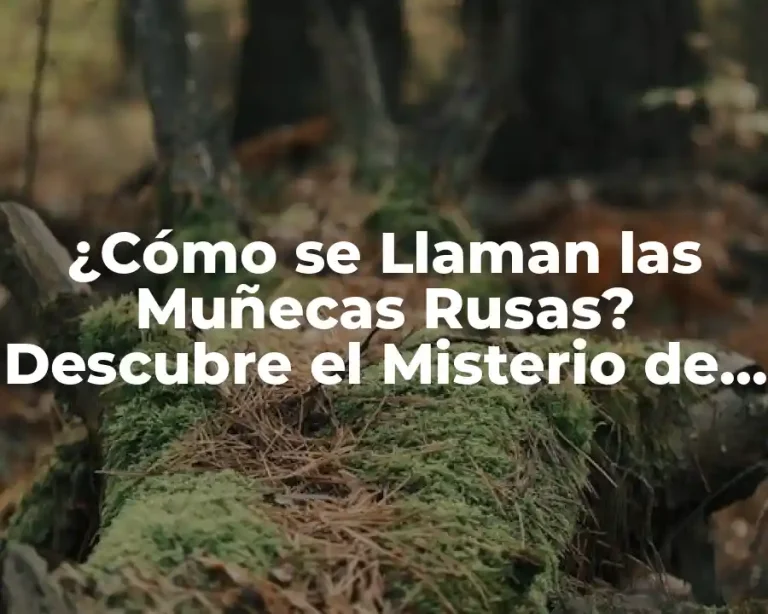 ¿Cómo se Llaman las Muñecas Rusas? Descubre el Misterio de las Muñecas Matrioska