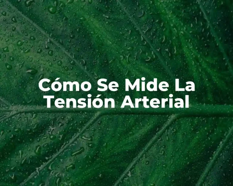 Cómo Se Mide La Tensión Arterial