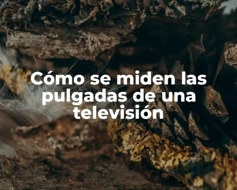 Cómo se miden las pulgadas de una televisión