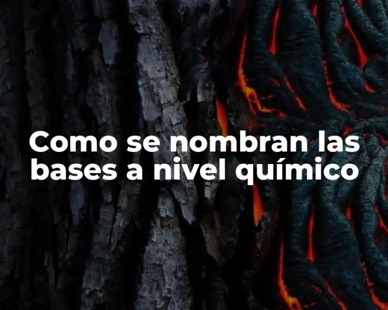 Como se nombran las bases a nivel químico