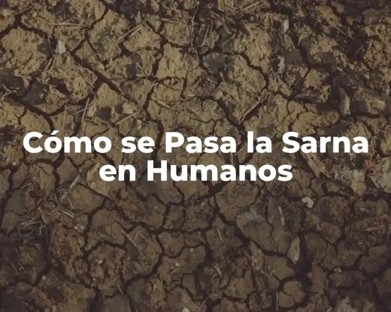 Cómo se Pasa la Sarna en Humanos