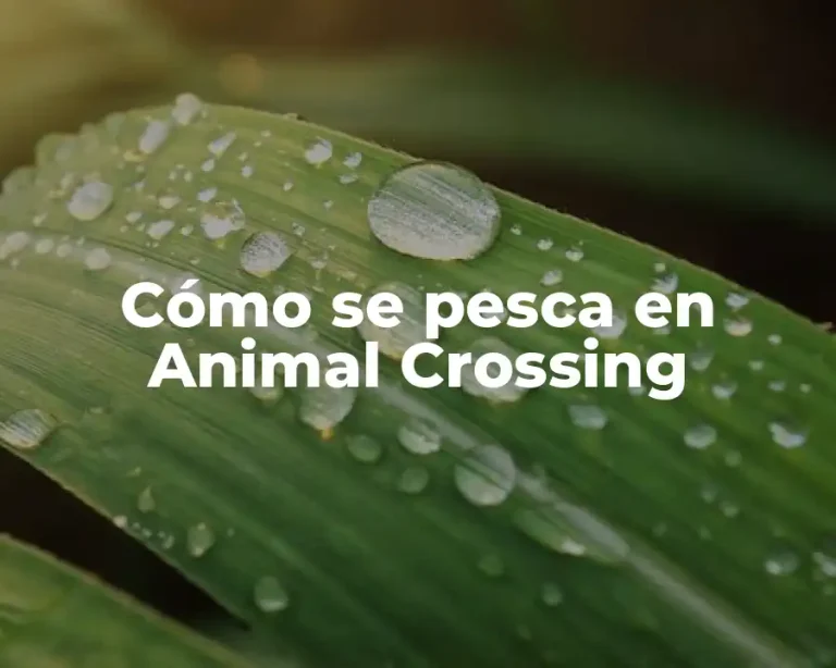 Cómo se pesca en Animal Crossing