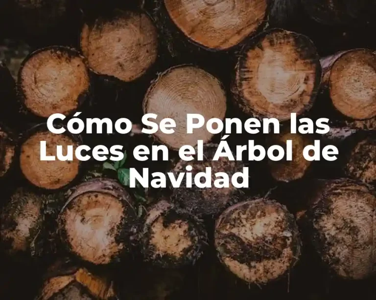 Cómo Se Ponen las Luces en el Árbol de Navidad