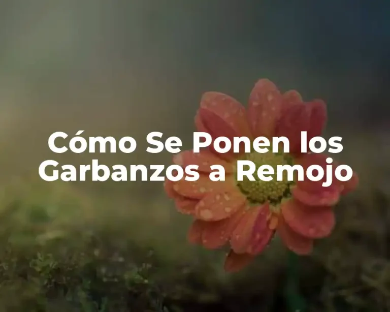 Cómo Se Ponen los Garbanzos a Remojo