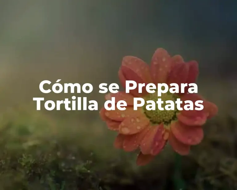Cómo se Prepara Tortilla de Patatas