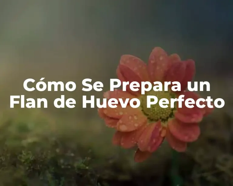 Cómo Se Prepara un Flan de Huevo Perfecto