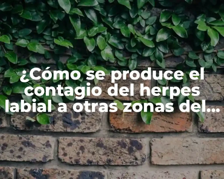 ¿Cómo se produce el contagio del herpes labial a otras zonas del cuerpo?