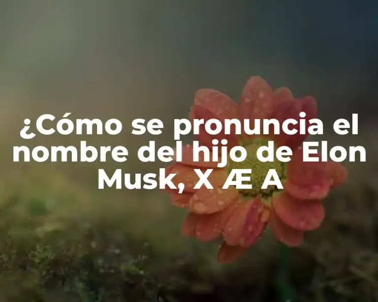 ¿Cómo se pronuncia el nombre del hijo de Elon Musk, X Æ A