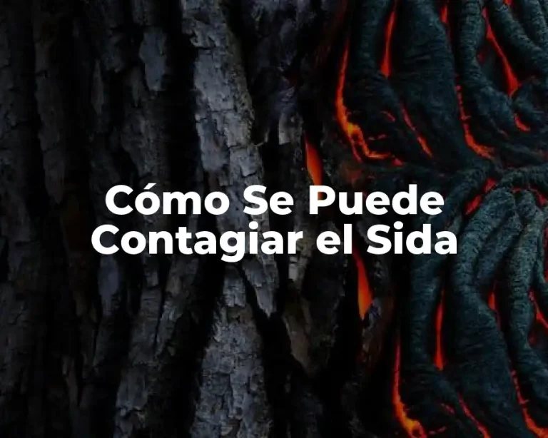 Cómo Se Puede Contagiar el Sida