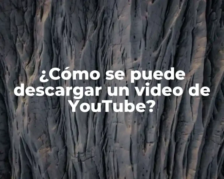 ¿Cómo se puede descargar un video de YouTube?