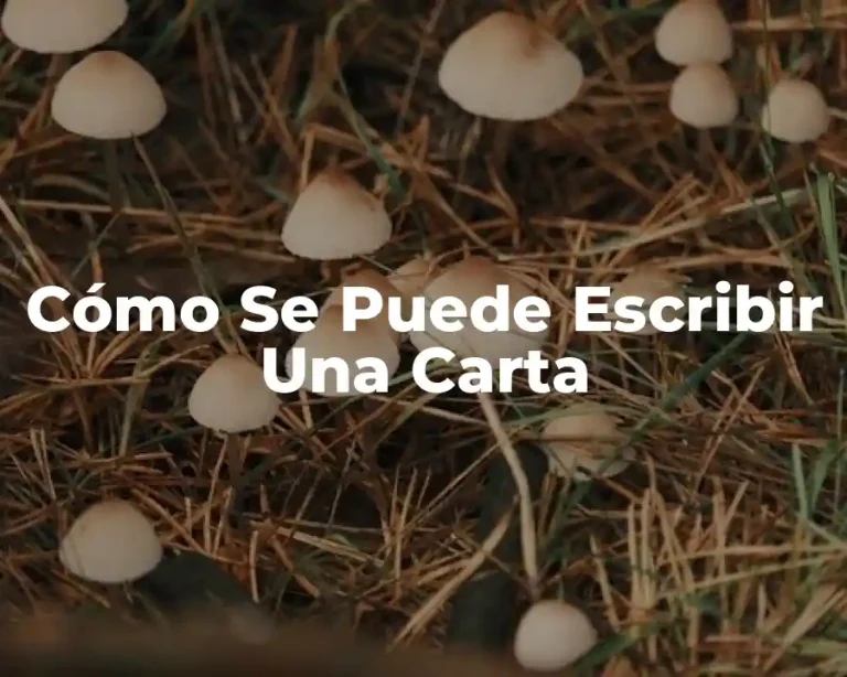 Cómo Se Puede Escribir Una Carta