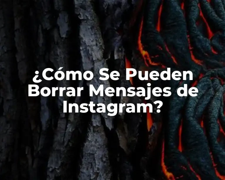 ¿Cómo Se Pueden Borrar Mensajes de Instagram?
