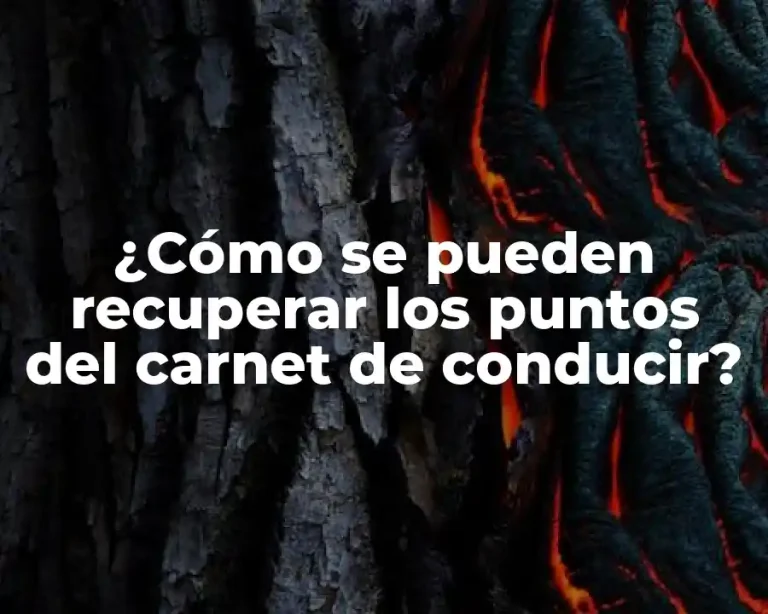 ¿Cómo se pueden recuperar los puntos del carnet de conducir?