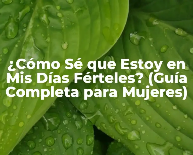 ¿Cómo Sé que Estoy en Mis Días Férteles? (Guía Completa para Mujeres)
