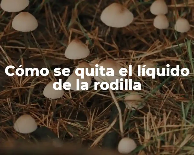 Cómo se quita el líquido de la rodilla