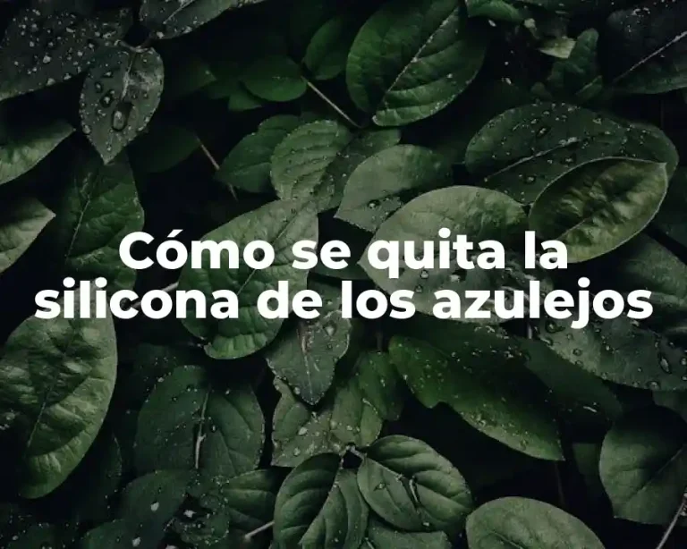 Cómo se quita la silicona de los azulejos
