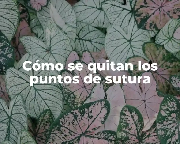 Cómo se quitan los puntos de sutura