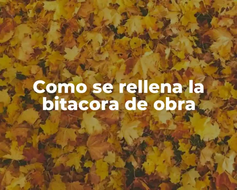 Como se rellena la bitacora de obra