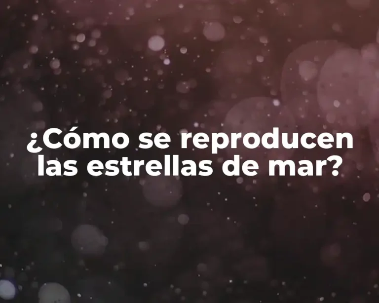 ¿Cómo se reproducen las estrellas de mar?