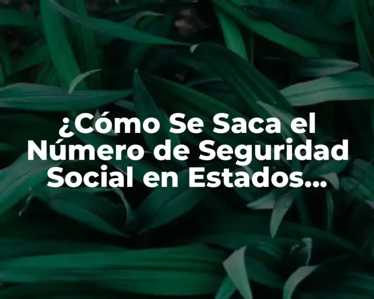 ¿Cómo Se Saca el Número de Seguridad Social en Estados Unidos?