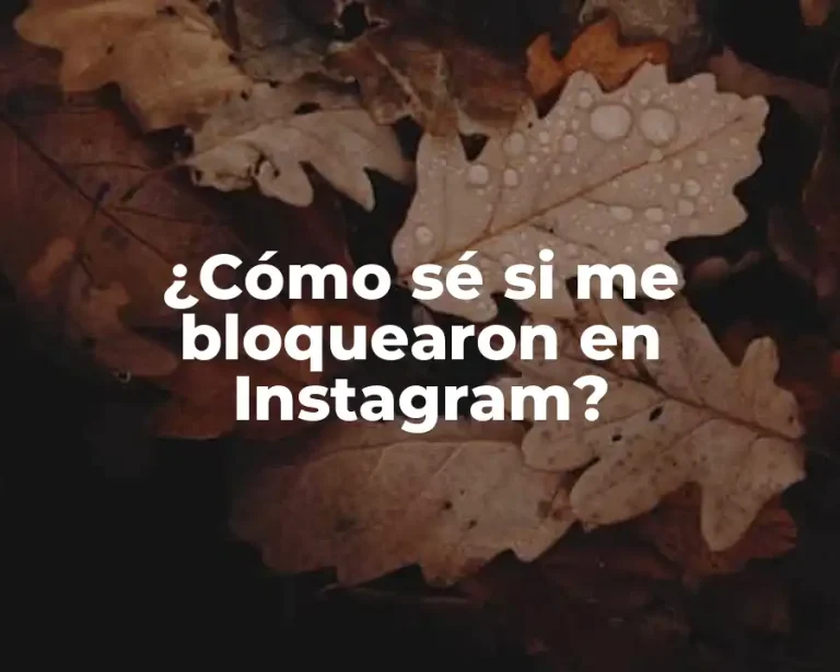 ¿Cómo sé si me bloquearon en Instagram?