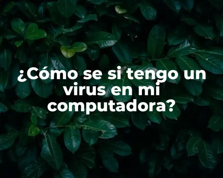 ¿Cómo se si tengo un virus en mi computadora?