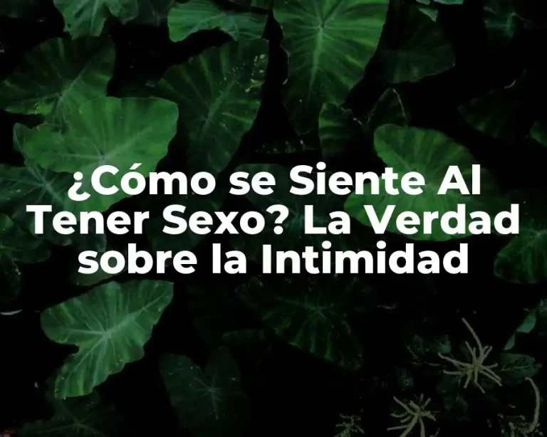 ¿Cómo se Siente Al Tener Sexo? La Verdad sobre la Intimidad