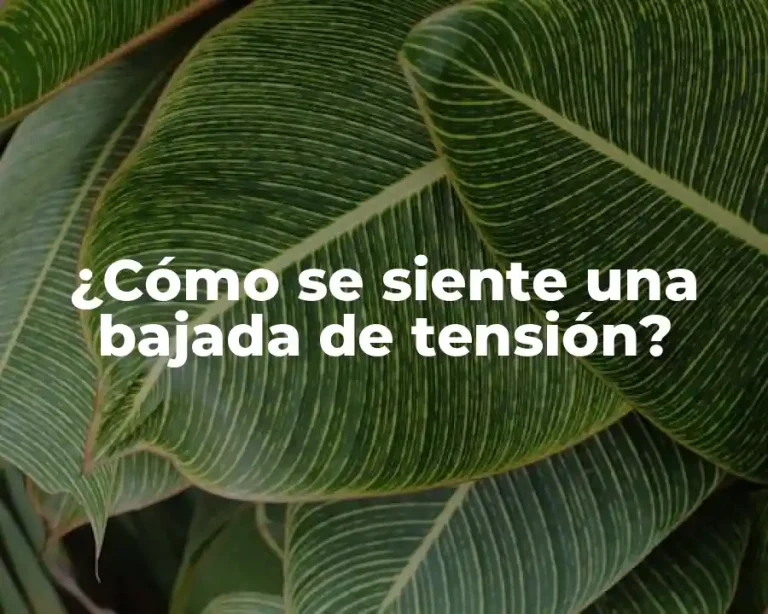 ¿Cómo se siente una bajada de tensión?