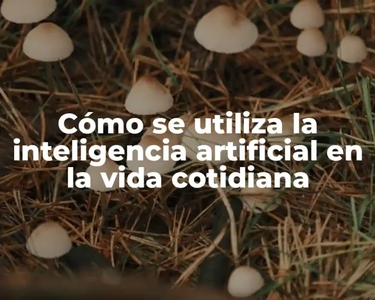Cómo se utiliza la inteligencia artificial en la vida cotidiana