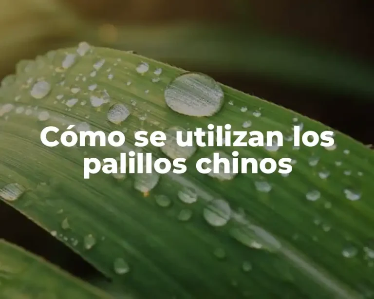 Cómo se utilizan los palillos chinos