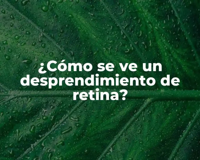 ¿Cómo se ve un desprendimiento de retina?