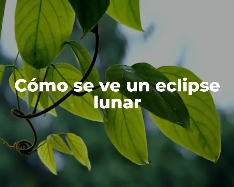Cómo se ve un eclipse lunar