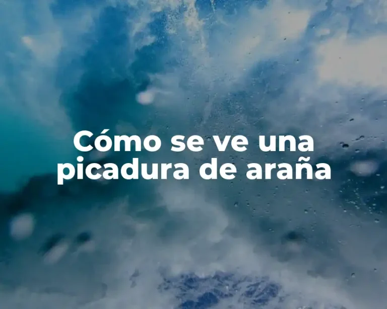 Cómo se ve una picadura de araña