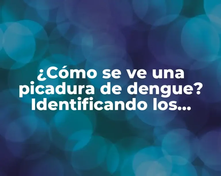 ¿Cómo se ve una picadura de dengue? Identificando los síntomas y características clave
