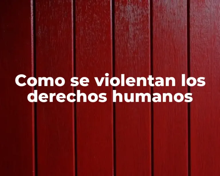 Como se violentan los derechos humanos