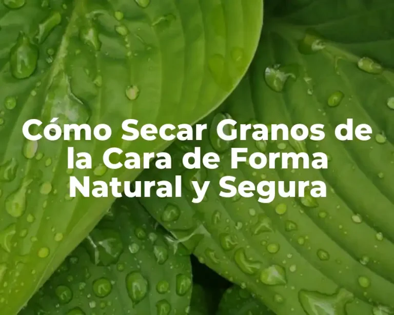 Cómo Secar Granos de la Cara de Forma Natural y Segura