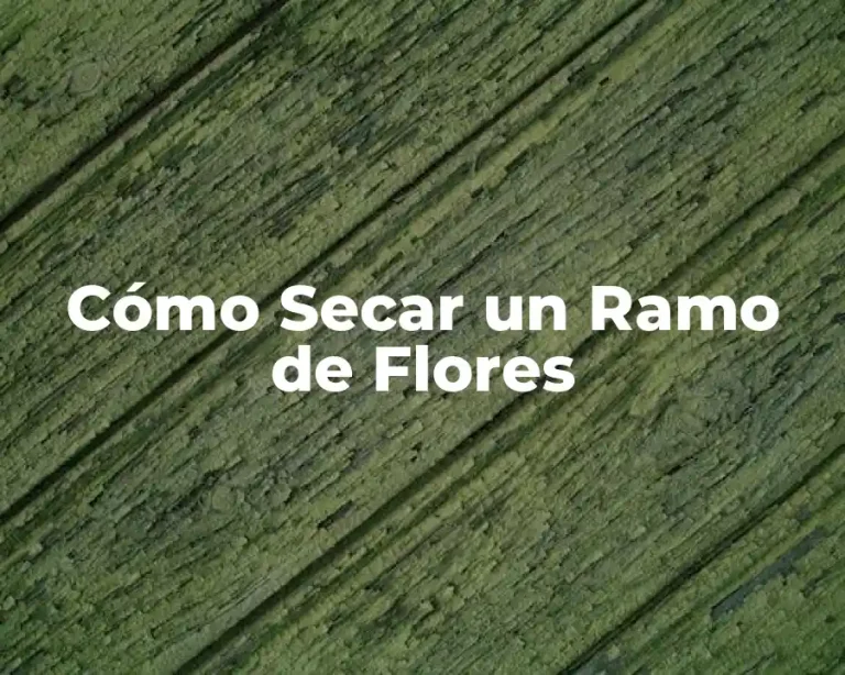 Cómo Secar un Ramo de Flores