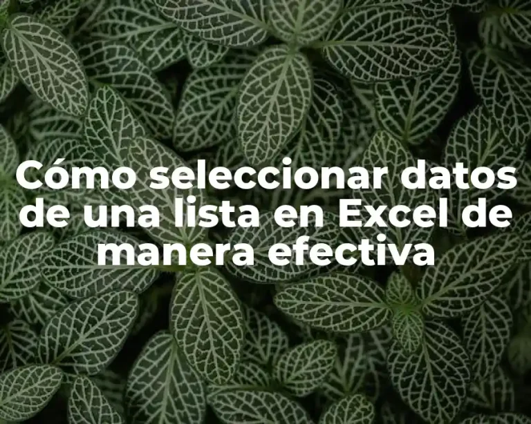Cómo seleccionar datos de una lista en Excel de manera efectiva