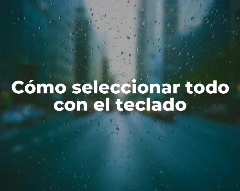 Cómo seleccionar todo con el teclado