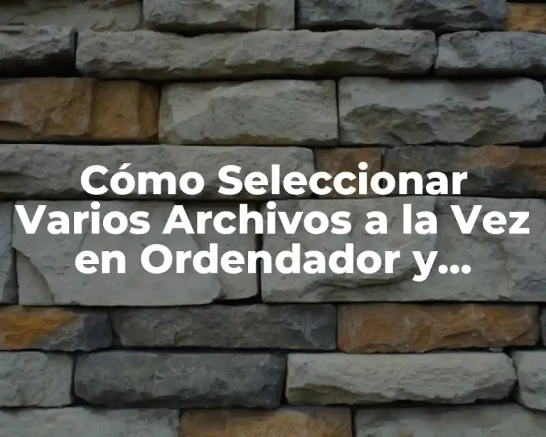 Cómo Seleccionar Varios Archivos a la Vez en Ordendador y Dispositivos Móviles