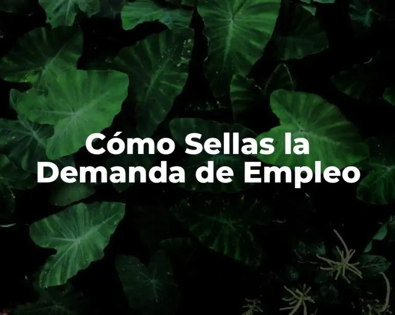 Cómo Sellas la Demanda de Empleo