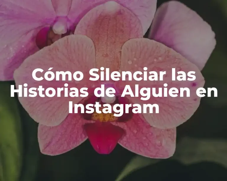 Cómo Silenciar las Historias de Alguien en Instagram