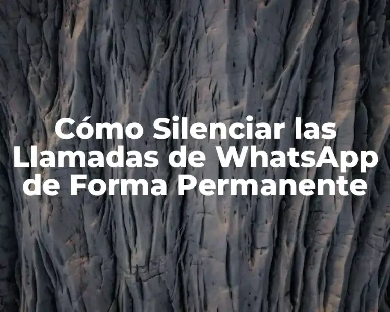 Cómo Silenciar las Llamadas de WhatsApp de Forma Permanente