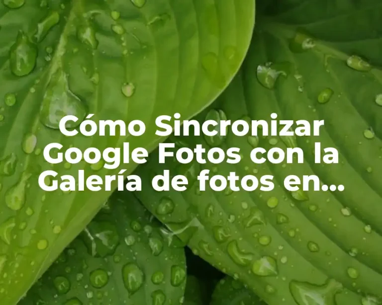 Cómo Sincronizar Google Fotos con la Galería de fotos en Android y iOS