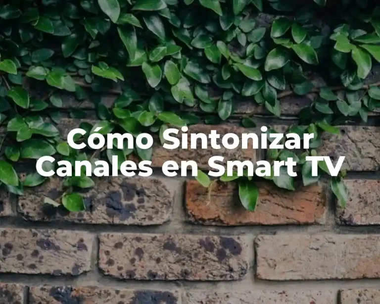 Cómo Sintonizar Canales en Smart TV