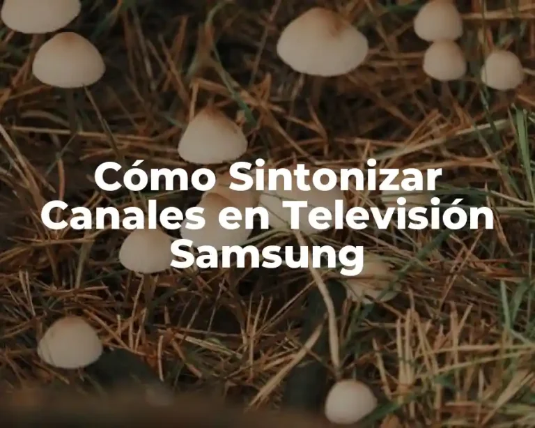 Cómo Sintonizar Canales en Televisión Samsung