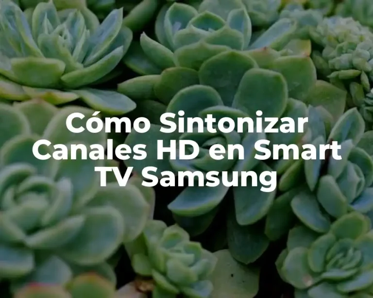 Cómo Sintonizar Canales HD en Smart TV Samsung