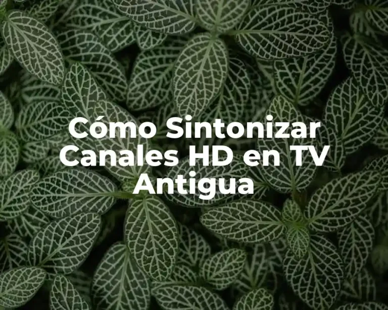 Cómo Sintonizar Canales HD en TV Antigua