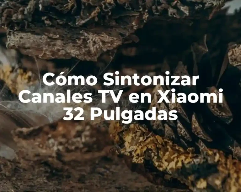 Cómo Sintonizar Canales TV en Xiaomi 32 Pulgadas